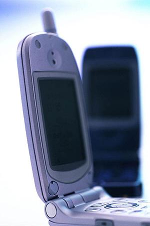 レゴリスのスパイダープラスの効力